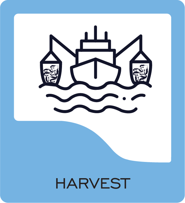 harvest